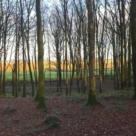 Holiday home Mullaghmeen Forest *