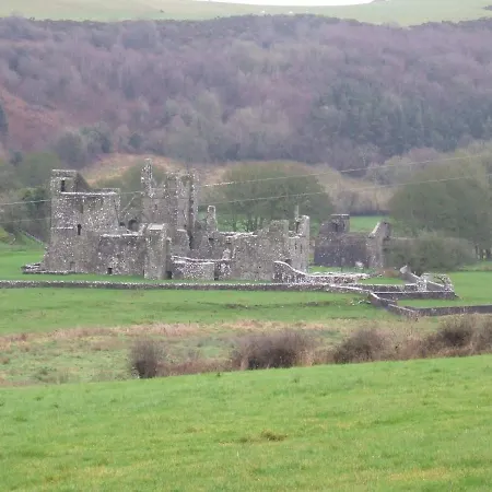 Mullaghmeen Forest * Mullingar